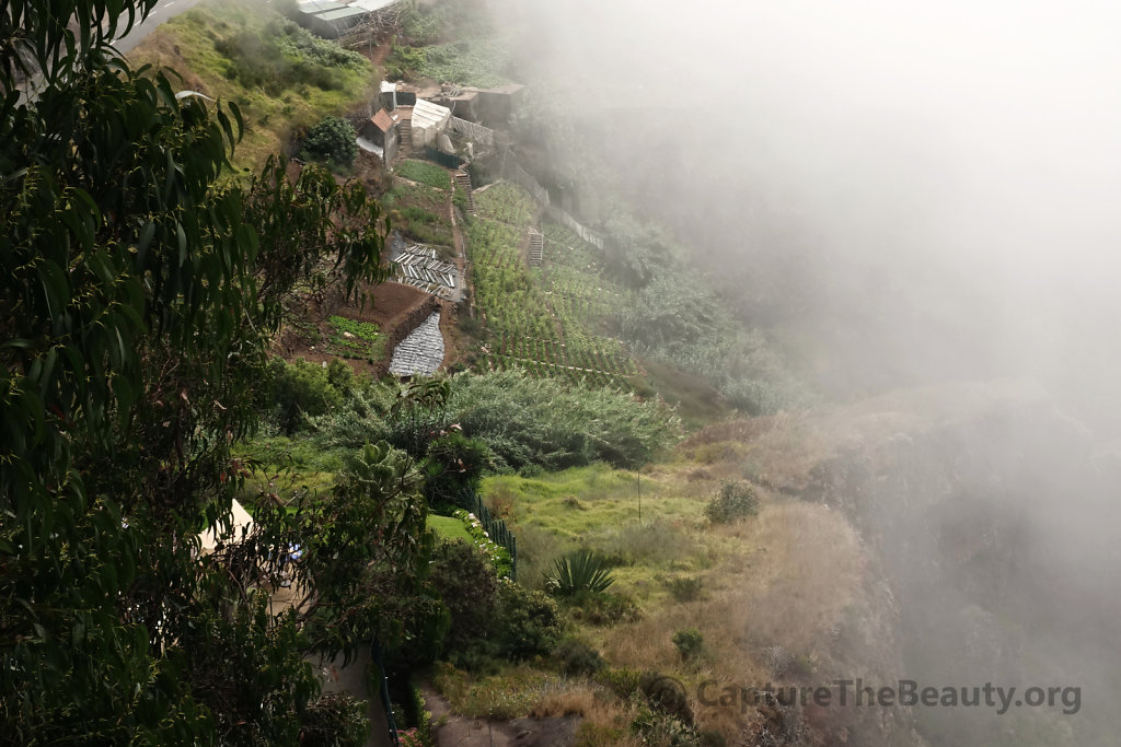 Madeira - Fast Fog