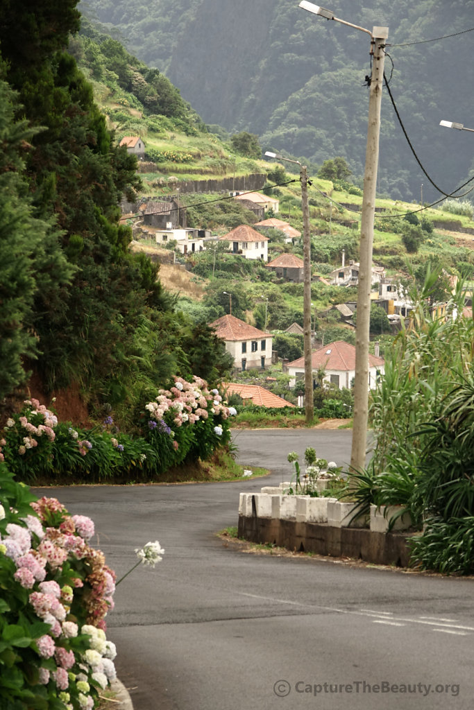 Madeira - Up and Down