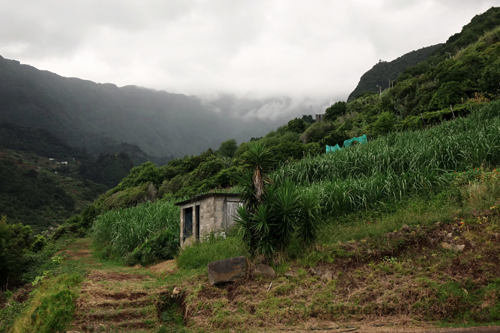 Madeira - Landscape