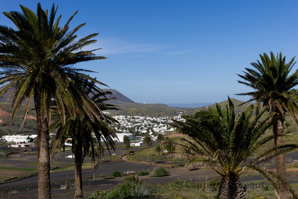 Lanzarote - Hidden between palms