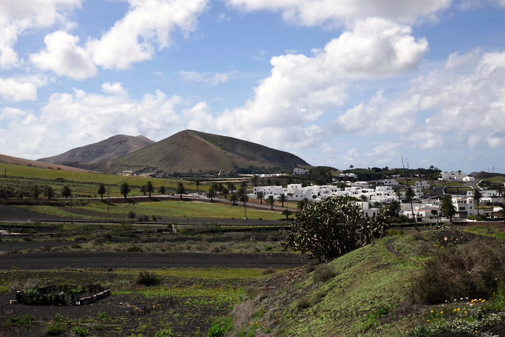 Lanzarote - Green island